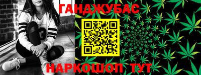гашик Лесосибирск