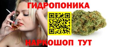 гашик Лесосибирск